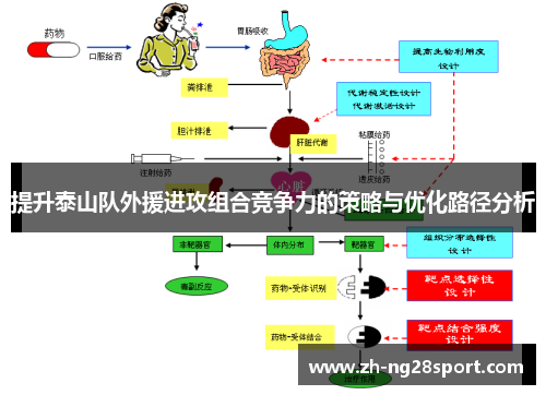 提升泰山队外援进攻组合竞争力的策略与优化路径分析