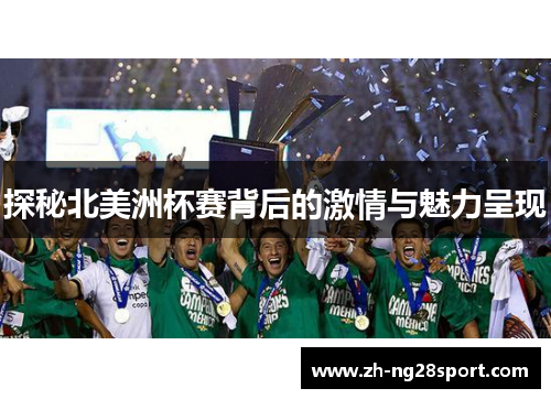 探秘北美洲杯赛背后的激情与魅力呈现
